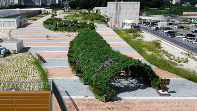 인천시, 남촌농산물도매시장 옥상텃밭 ...