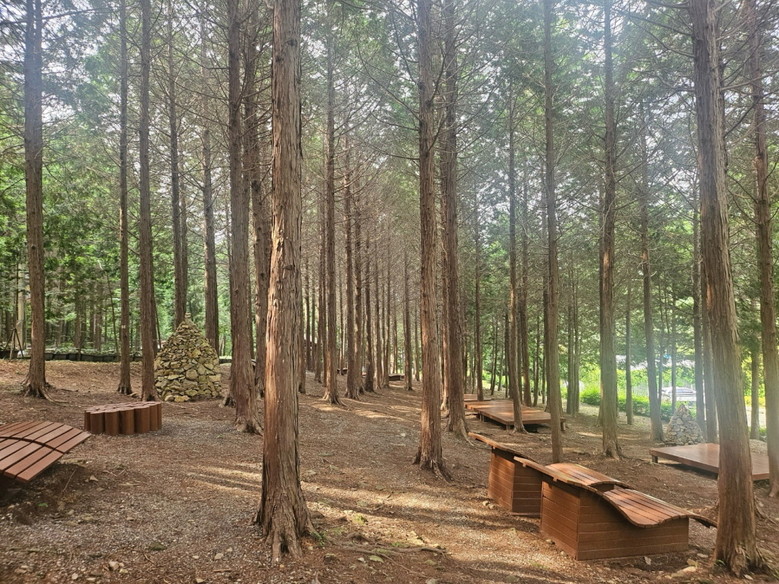 ‘지붕 없는 미술관’ 고흥으로 떠나는...